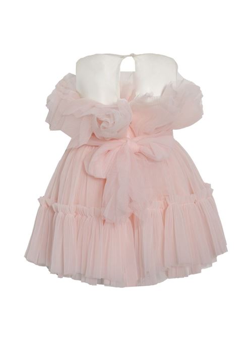  FUN & FUN | FNCBDR14035RO